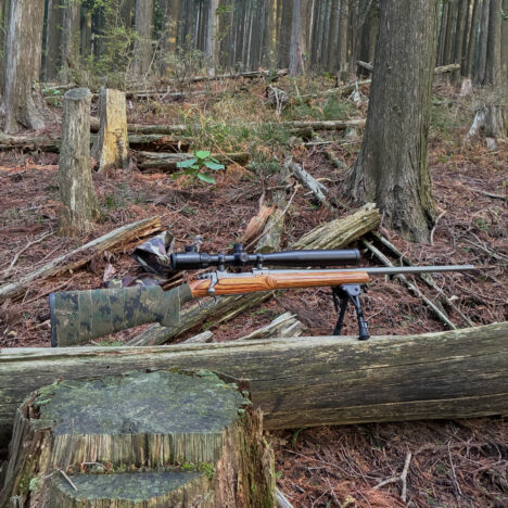 箱罠の草刈りで怪我～(閲覧注意)です